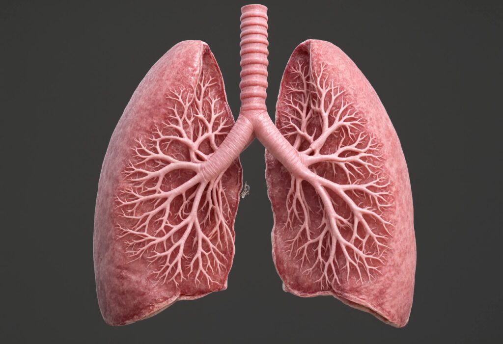 מחלת הריאות COPD
