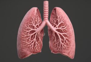מחלת הריאות COPD