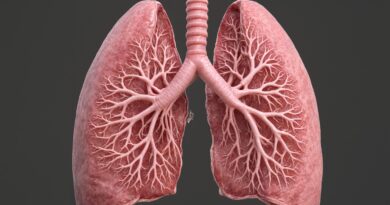 מהי מחלת COPD וכיצד ניתן לשפר את איכות החיים? מחלת הריאות COPD