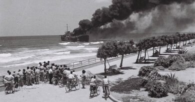 אלטנלה